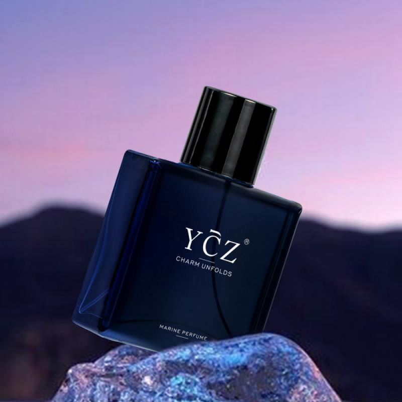 WeiLan Men Perfume 50ml Long L - Perfume Fragrance Man recension och pris